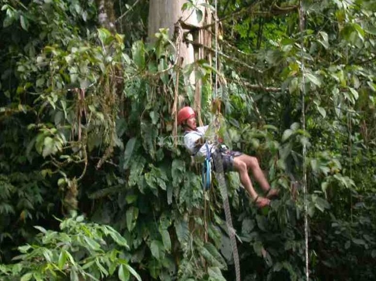 Tirolina en plena selva